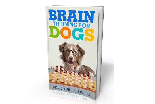 Brain Training for Dogs