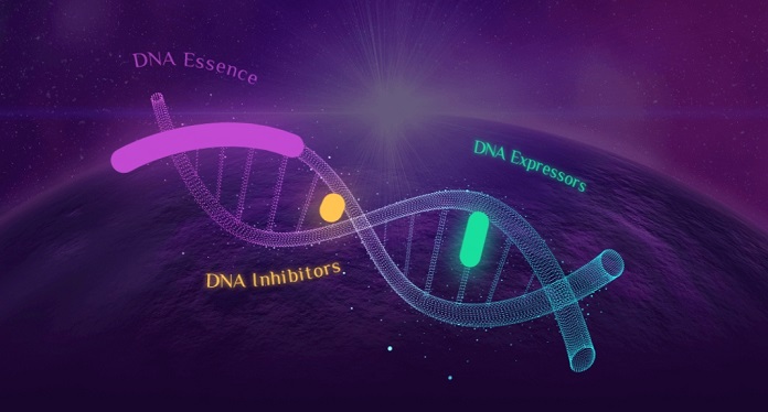 DNA Magic Reading